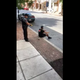 Image for article titled Pennsylvania Man Shot With Taser While Trying to Comply With Cops Files Lawsuit Against Police Department